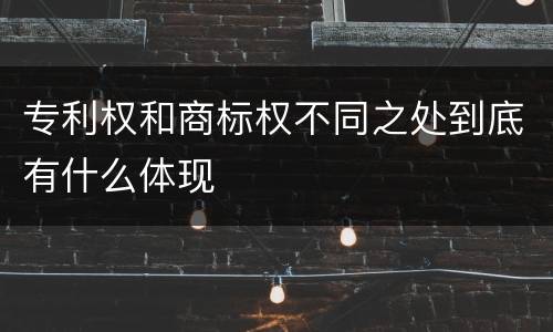 专利权和商标权不同之处到底有什么体现