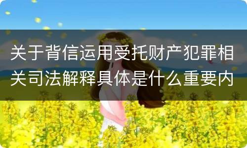 关于背信运用受托财产犯罪相关司法解释具体是什么重要内容