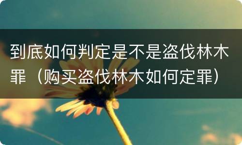 到底如何判定是不是盗伐林木罪（购买盗伐林木如何定罪）