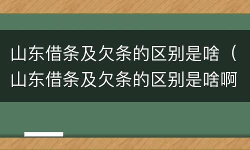 山东借条及欠条的区别是啥（山东借条及欠条的区别是啥啊）
