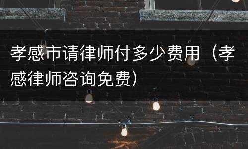 孝感市请律师付多少费用（孝感律师咨询免费）