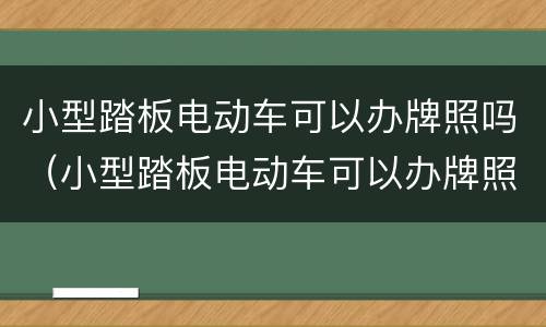 小型踏板电动车可以办牌照吗（小型踏板电动车可以办牌照吗多少钱）