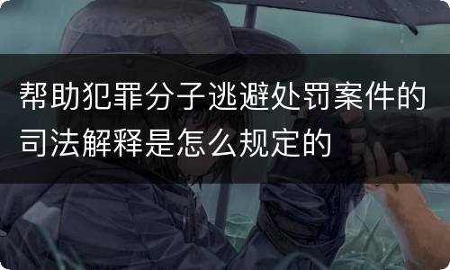 帮助犯罪分子逃避处罚案件的司法解释是怎么规定的