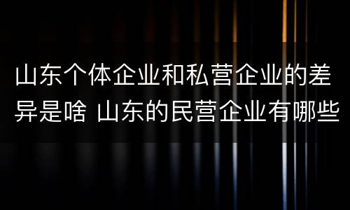 山东个体企业和私营企业的差异是啥 山东的民营企业有哪些