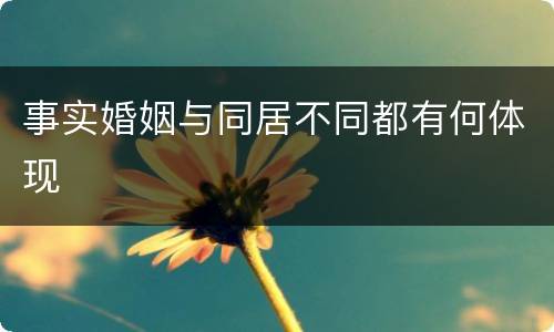 事实婚姻与同居不同都有何体现