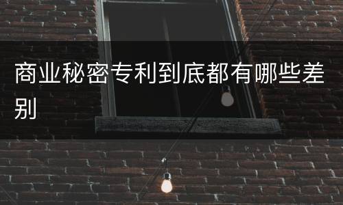 商业秘密专利到底都有哪些差别