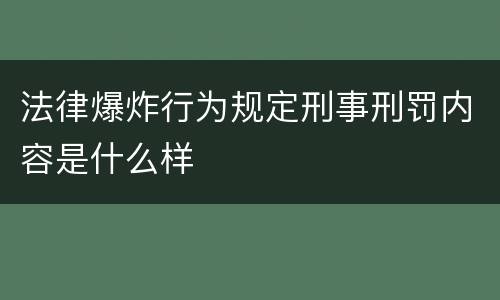 法律爆炸行为规定刑事刑罚内容是什么样