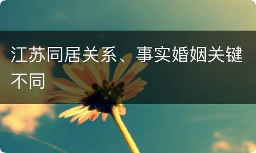江苏同居关系、事实婚姻关键不同