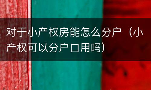 对于小产权房能怎么分户（小产权可以分户口用吗）