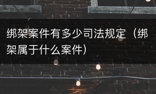 绑架案件有多少司法规定（绑架属于什么案件）