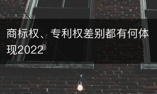 商标权、专利权差别都有何体现2022