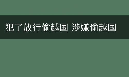 犯了放行偷越国 涉嫌偷越国