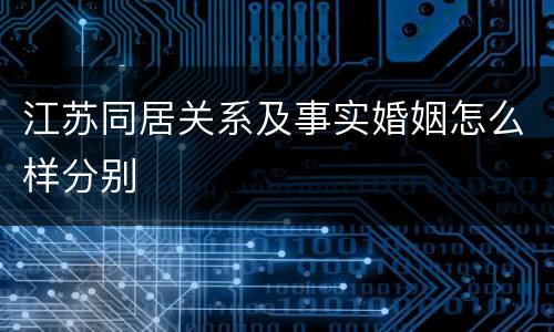 江苏同居关系及事实婚姻怎么样分别