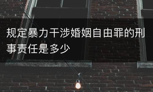 规定暴力干涉婚姻自由罪的刑事责任是多少