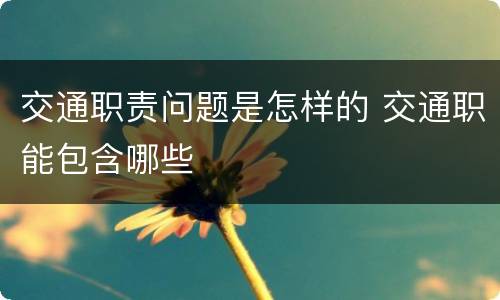 交通职责问题是怎样的 交通职能包含哪些
