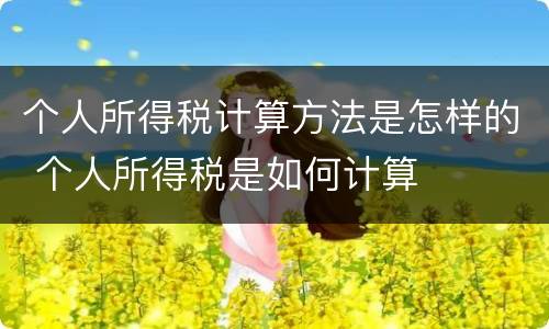 个人所得税计算方法是怎样的 个人所得税是如何计算