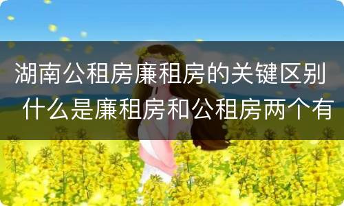 湖南公租房廉租房的关键区别 什么是廉租房和公租房两个有什么特点