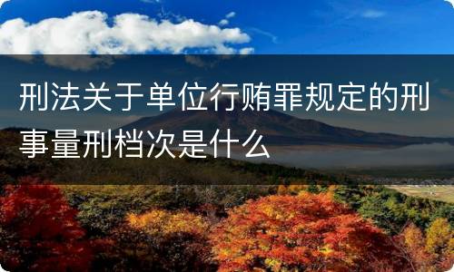 刑法关于单位行贿罪规定的刑事量刑档次是什么
