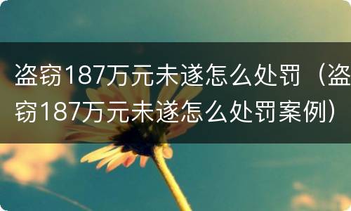 盗窃187万元未遂怎么处罚（盗窃187万元未遂怎么处罚案例）