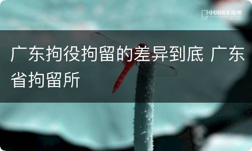 广东拘役拘留的差异到底 广东省拘留所