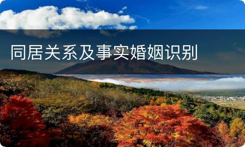 同居关系及事实婚姻识别