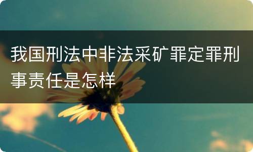 我国刑法中非法采矿罪定罪刑事责任是怎样