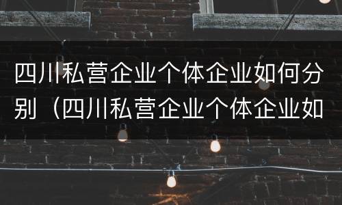 四川私营企业个体企业如何分别（四川私营企业个体企业如何分别缴纳社保）
