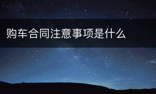 购车合同注意事项是什么