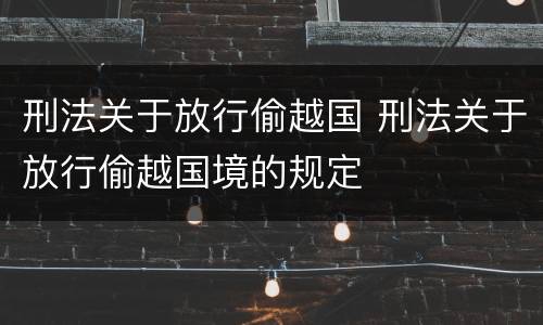 刑法关于放行偷越国 刑法关于放行偷越国境的规定