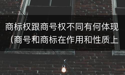 商标权跟商号权不同有何体现（商号和商标在作用和性质上的区别）