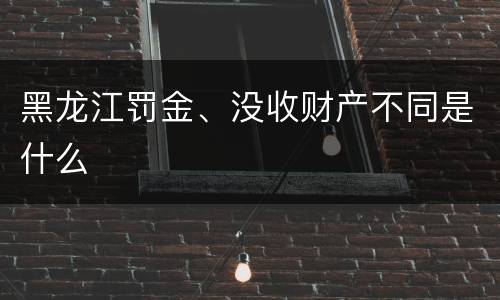黑龙江罚金、没收财产不同是什么