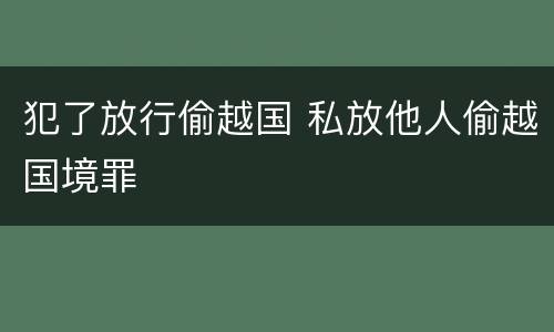 犯了放行偷越国 私放他人偷越国境罪