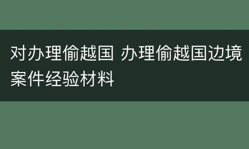 对办理偷越国 办理偷越国边境案件经验材料