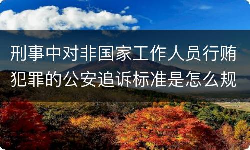 刑事中对非国家工作人员行贿犯罪的公安追诉标准是怎么规定