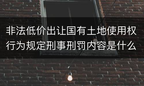 非法低价出让国有土地使用权行为规定刑事刑罚内容是什么样