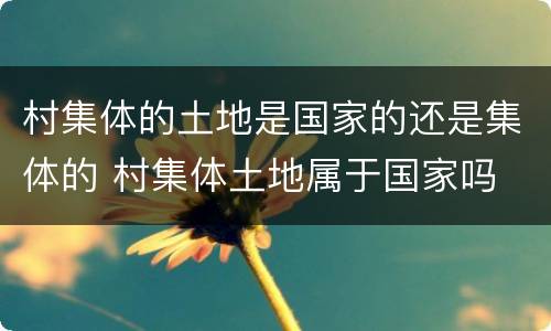 村集体的土地是国家的还是集体的 村集体土地属于国家吗