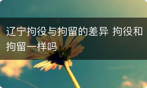 辽宁拘役与拘留的差异 拘役和拘留一样吗
