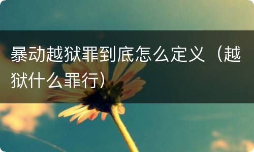 暴动越狱罪到底怎么定义（越狱什么罪行）