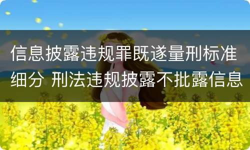 信息披露违规罪既遂量刑标准细分 刑法违规披露不批露信息罪