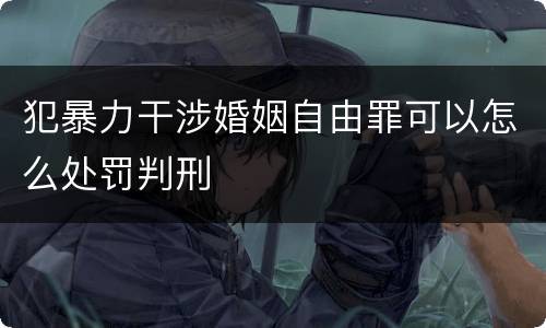 犯暴力干涉婚姻自由罪可以怎么处罚判刑
