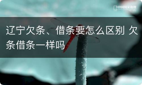 辽宁欠条、借条要怎么区别 欠条借条一样吗