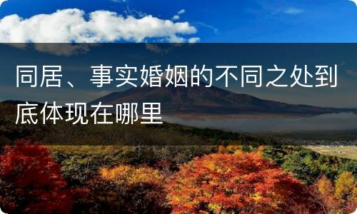 同居、事实婚姻的不同之处到底体现在哪里