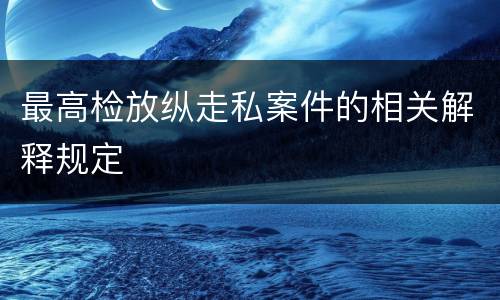 最高检放纵走私案件的相关解释规定