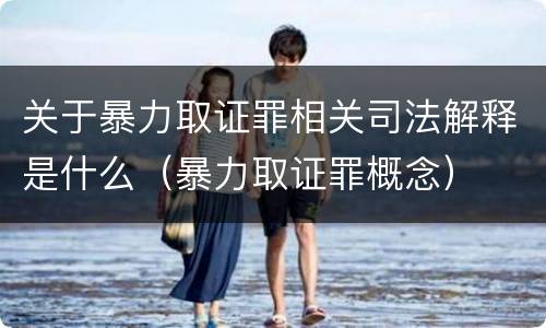 关于暴力取证罪相关司法解释是什么（暴力取证罪概念）