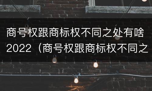 商号权跟商标权不同之处有啥2022（商号权跟商标权不同之处有啥2022年的）