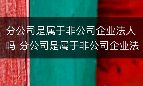 分公司是属于非公司企业法人吗 分公司是属于非公司企业法人吗