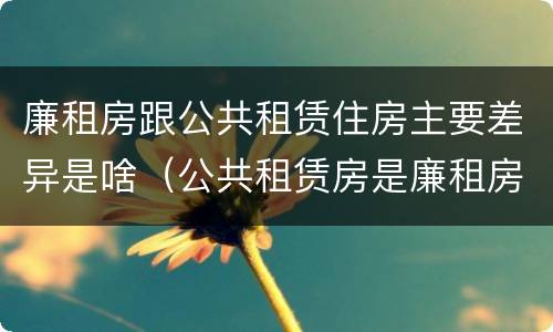 廉租房跟公共租赁住房主要差异是啥(公共租赁房是廉租房吗)