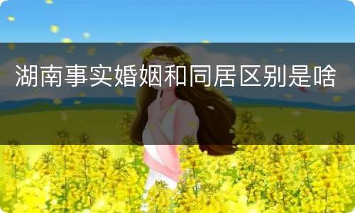 湖南事实婚姻和同居区别是啥