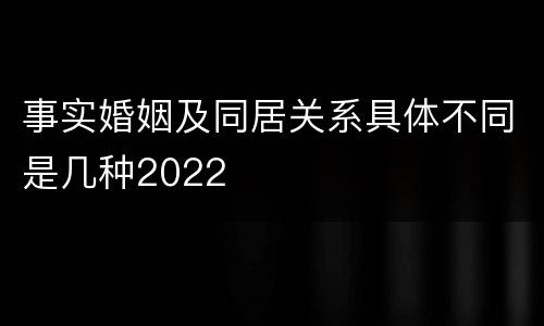 事实婚姻及同居关系具体不同是几种2022