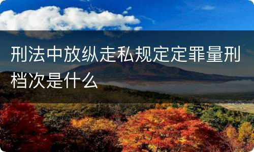 刑法中放纵走私规定定罪量刑档次是什么